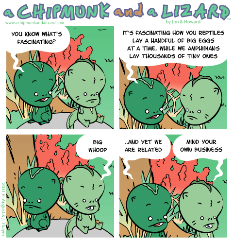 Click to see next strip